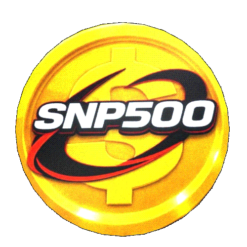SNP500 Coin
